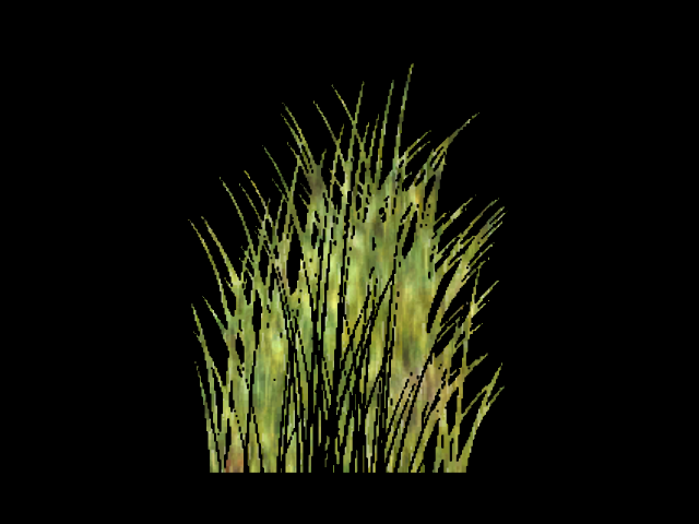 PlayPen_Dxt1Alpha10 original